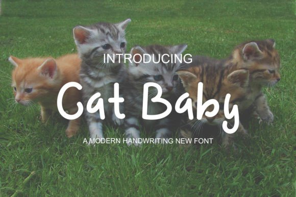 Cat Baby: A Display Font That Feels Like Sunlight on Paper