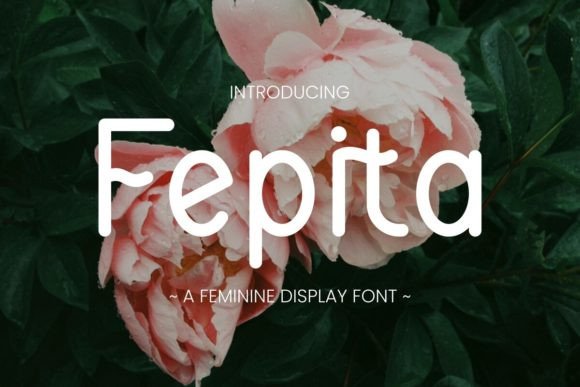 Fepita: A Delicate Display Font That Makes Your Brand Feel Inviting