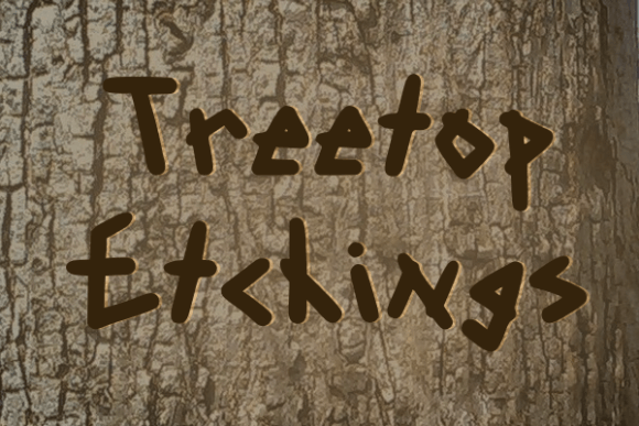 Treetop Etchings: A Distinctive Display Font for Handmade Brands